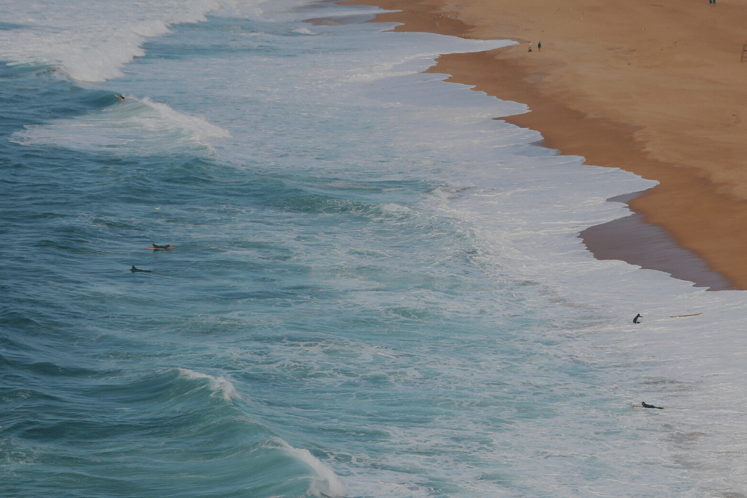 Post-pandemic reflections art